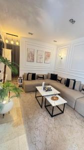 Luxury apartment in the city center