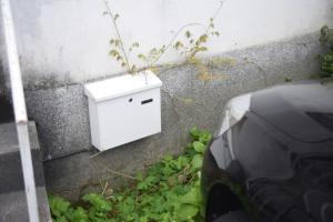 Blossoming Hidden Nest with Garden