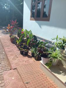 Serenity patio