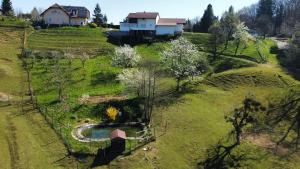Apartmaji Beli Jelen