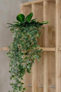 Urokliwy Apartament z Parkingiem Blisko Bramy Floriańskiej w Krakowie by Noclegi Renters