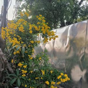 Anna Bungalow Vientiane