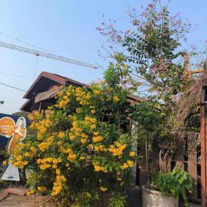Anna Bungalow Vientiane