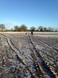 5BR Home Van Parking Fast WiFi NEC Solihull