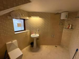 B-16 Stays Boutique Stay with Kitchen Central Jodhpur