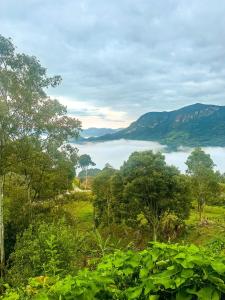 Altiva Lareira, Conforto e Aconchego no Baú