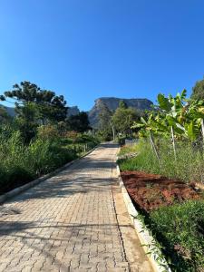 Altiva Lareira, Conforto e Aconchego no Baú