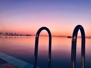 City Skyline Views Next To Beach Public Pool