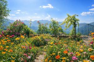 Nonna Teresa - the nature near Amalfi