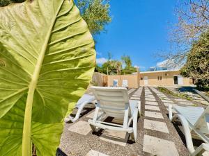 Villa Verve Dassia with private pool by DadoVillas