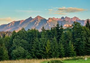 ZAJAZD BIAŁCZAŃSKI Dom Wypoczynkowy Restauracja blisko Stoków Narciarskich