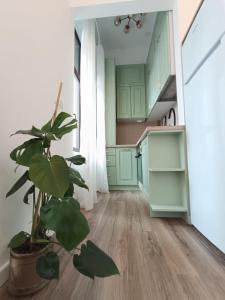 Zion Central Apartment