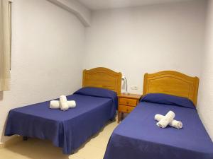 Veracruz-Fincas Benidorm