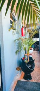Sapphire EA Homes-B9