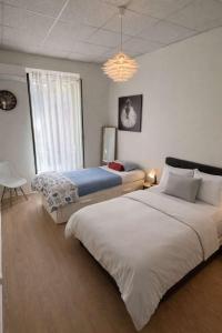 Beautiful spacious air conditioned apartment - center