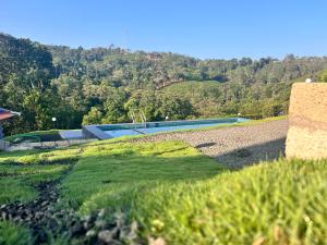 Tea Harmony Bunglow