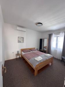 Apartment Teo