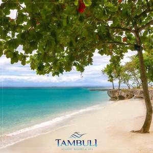 Tambuli Seaside Living Beach Haven