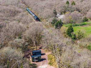 Bluebell Wood Shepherds Hut Cosy Woodland Retreat