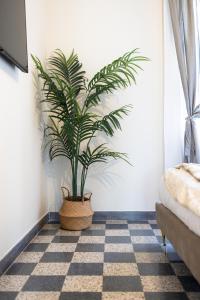 Adrianas Suites in Prati close to Vatican Museum