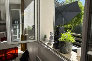 Apartment with terrace and vineyard views