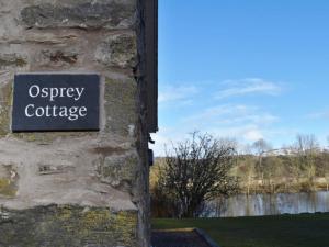 Osprey-Uk7342