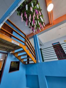 Caye Caulker Hostel
