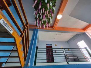 Caye Caulker Hostel