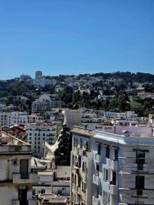 Telemly Belvédère a panoramic view of Algiers