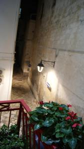 B&B Borgo San Martino