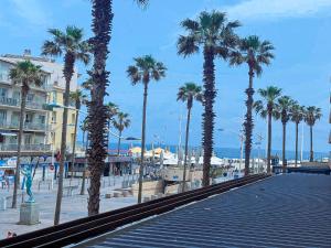 Viva la Vida - Canet plage