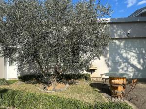 LOliveraie REZ DE JARDIN AVEC PISCINE