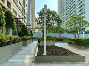 Lumpini Jomtien park