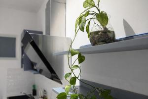 Mekora Stay - Marina Plaza Long Xuyên