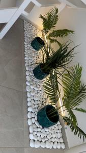 Aqua blue villa