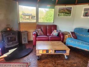 Galtee Glamping in wooden yurt