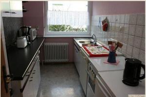Haus-Schneider-grosse-Ferienwohnung