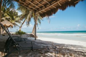 Olas Tulum