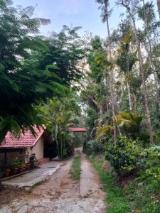 Outbackwoods Homestay room coffee