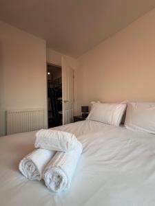 Modern Bright Flat near Station and Addenbrookes, Cambridge UK