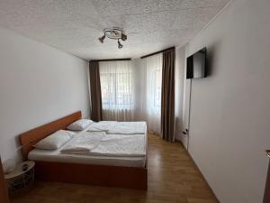 Casa Bașu