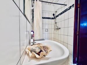 Grace Villa-Drones Africa Safaris