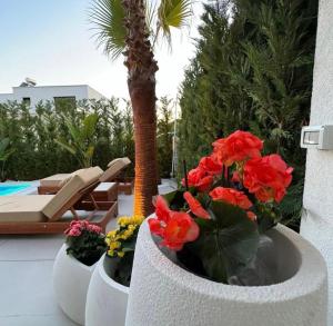 Nicos Villa San Pietro Resort Durres