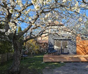 Modernes Tiny House mit Terrasse und Parkplatz