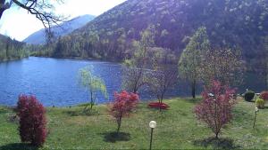 L’Angolino di MAGDA: on the lake-PRIVATE beach!