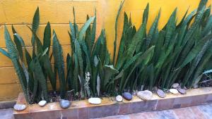 My Little Home in Antiguo