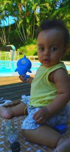 Cabana Family - Na Mata Atlântica