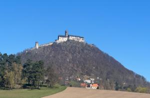 Chatky Máchovo jezero, chatka U Zelené žáby