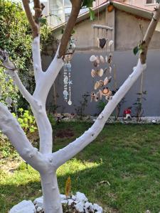 PREVEZA DOWNTOWN garden