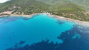 Marina di Figa